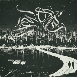 Designer (Yolo Records)