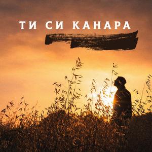 Ти Си Канара