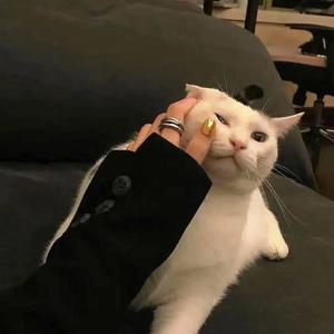 回音哥-陪我看日出（中文罗 remix）