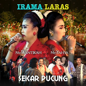 Sekar Pucung