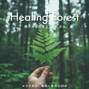 超熟睡ギターメディテーション 癒しの音楽・眠れる曲 リラックスと安眠のための睡眠導入音楽 (自律神経を整える睡眠用 森 鳥)