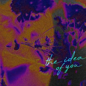 The Idea of You