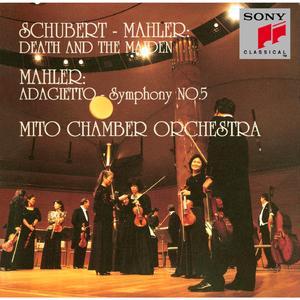 String Quartet No. 14 in D Minor, D 810 " Death and the Maiden":String Quartet No. 14 in D Minor, D 810 " Death and the Maiden": I. Allegro