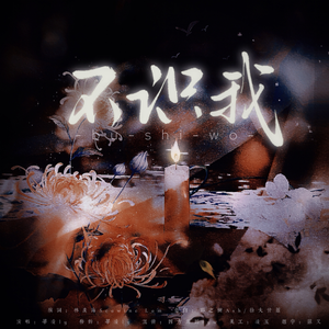 不识我（纯歌版）
