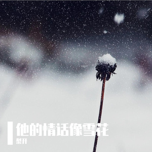 他的情话像雪花