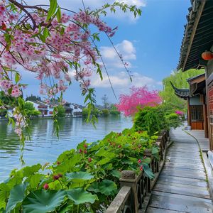 追寻音乐的梦想