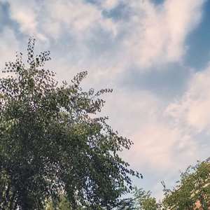 【FREE BEAT】 THE DAY