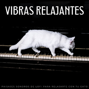 Tranquilas Sensibilidades