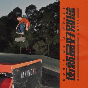 赵传-我是一只小小鸟（大雕Roc remix）