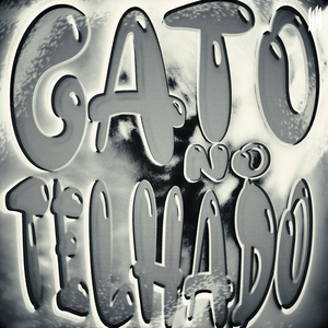 GATO NO TELHADO