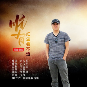 唯有红尘看不透 (DJ默涵版)