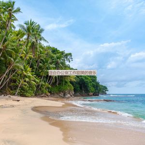 适合在家里工作优秀的音乐