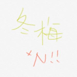 冬梅循环（翻自 方佳航FJJ）