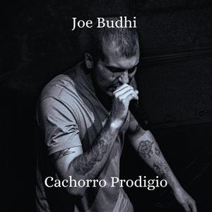 Cachorro Prodigio