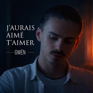 J'aurais aimé t'aimer