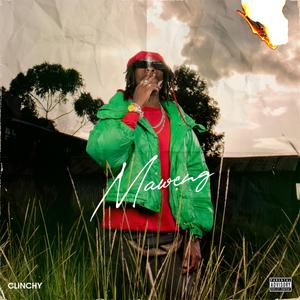 maweng (feat. Virusi Mbaya & Asum garvey)