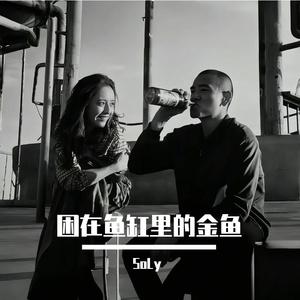 被渣男伤过10次的金鱼