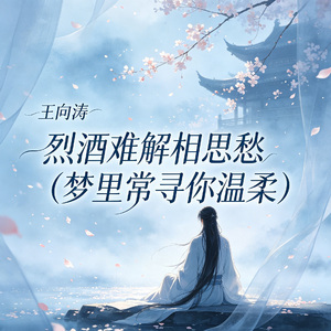 烈酒难解相思愁（梦里常寻你温柔）