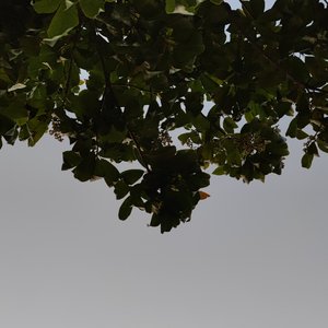 碎花裙扎马尾的姑娘