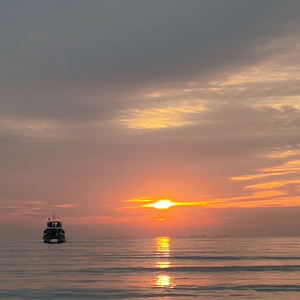 原野追逐Cornfield Chase