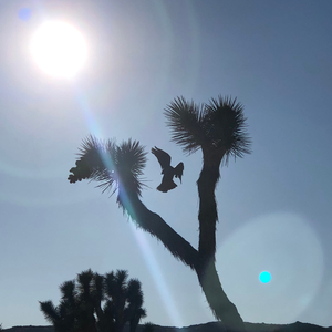 Welcome to the Very Next Chapter (feat. Moisty)