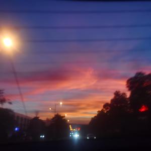 花.间.酒（片段）