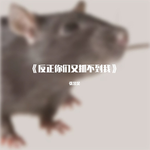 《反正你们又抓不到我》