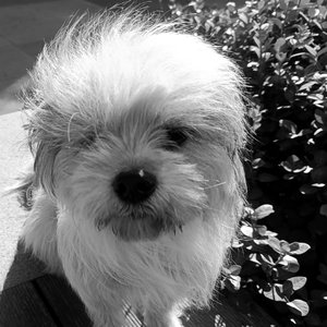 班级里的重逢爱情