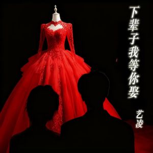 下辈子我等你娶