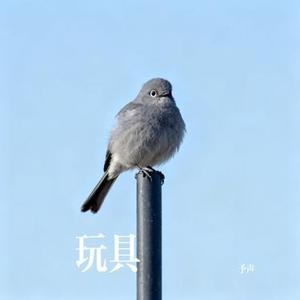 玩具 (Cover 岛屿心情)