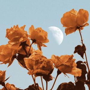 (FREE) ' 天天想你 ' sweet rnb guitar beat