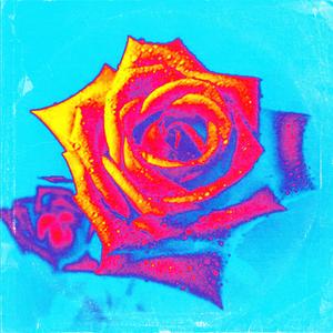 2022平行时空的春日