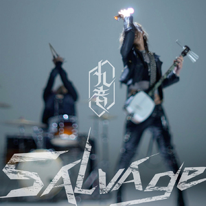 salvage