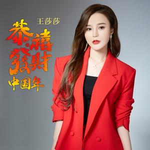 恭喜发财中国年 (Dj何鹏版)