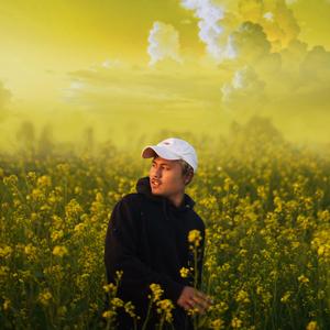 Bwthwra remix (feat. Rjbrajesh, The Krusherz & Thorthingo)
