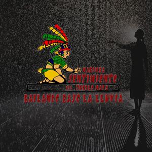 Parque De Concepción