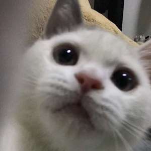 祝你爱我到天荒地老