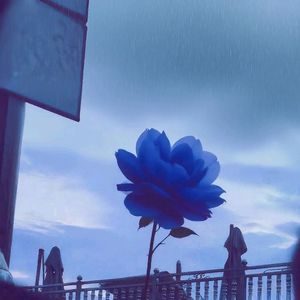 下不完的雨(prod.by Morrow x ayoley)