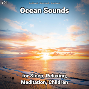 Ocean Sounds Pt. 23