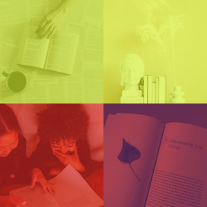 柔和的正在读书时刻