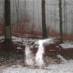 and so the story goes