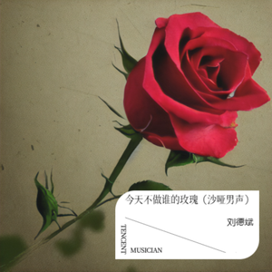 今天不做谁的玫瑰