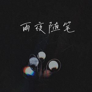 雨夜随笔