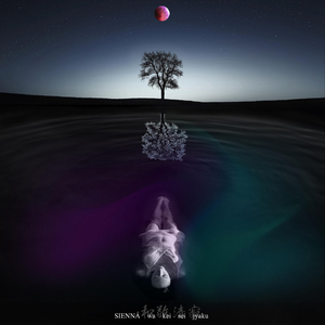 Evils In, Fortune In