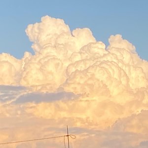 等（prod FRESH_ye)