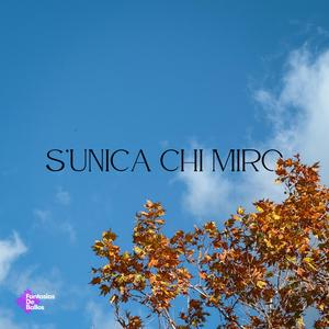 S'unica chi miro