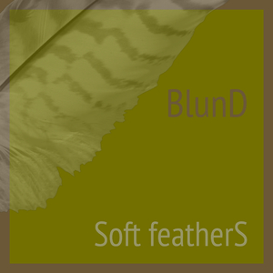 Soft Feathers