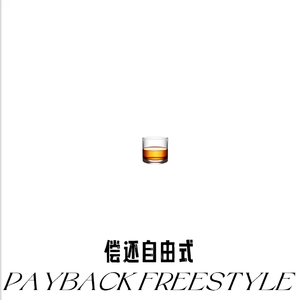 偿还自由式(PAYBACK FREESTYLE)