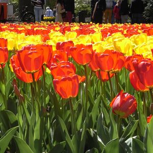 路口（翻自 张悬）