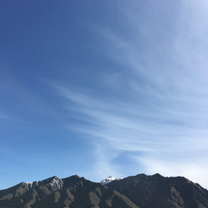 一个女孩儿无意之间发起的风暴